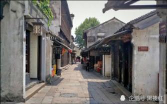 寻找萌小老虎